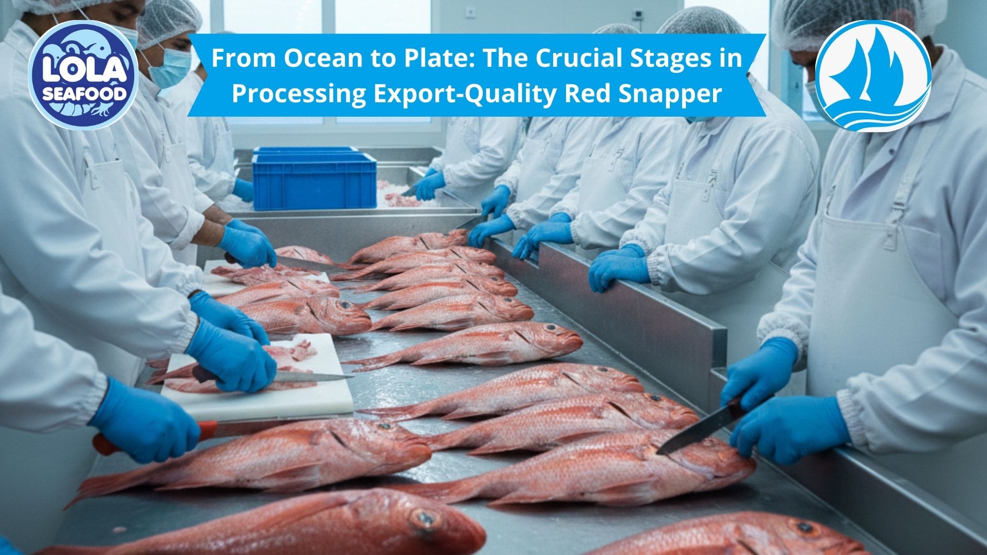 From Ocean to Plate: The Crucial Stages in Processing Export-Quality Red Snapper
